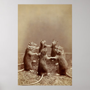 Foto Ritual de Rato, Impressão Assustadora de Anim