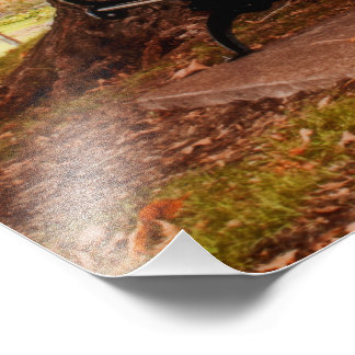 Foto Riverside Park Benches