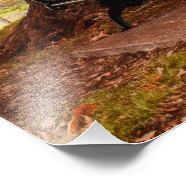 Foto Riverside Park Benches (Borda)