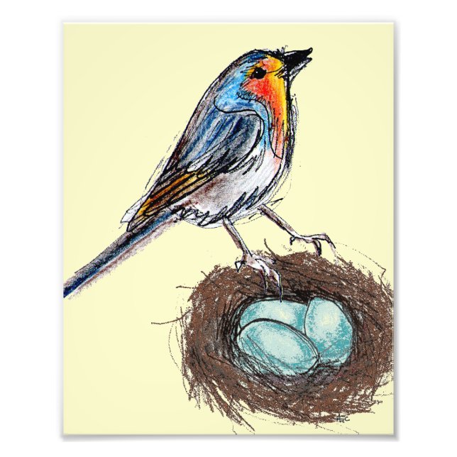 Foto Robin's Nest impressão art Robin Bird 8x10 (Frente)