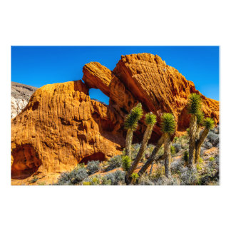 Foto Rochas da Tartaruga Beijando