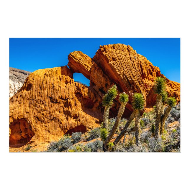 Foto Rochas da Tartaruga Beijando (Frente)