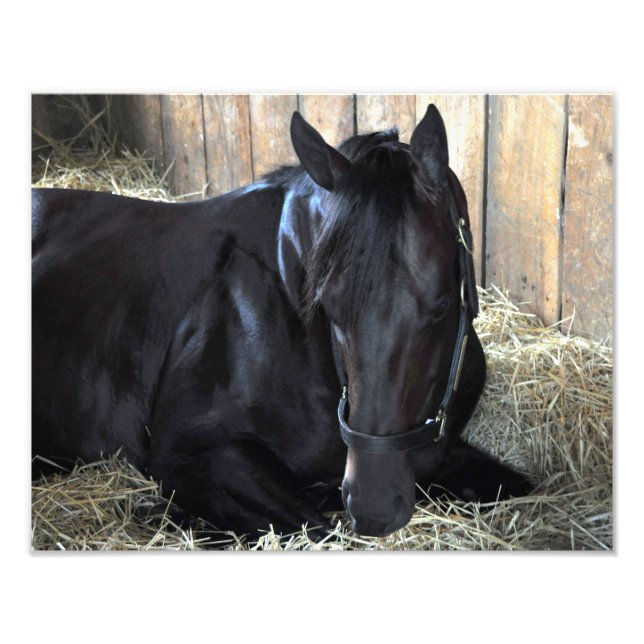 Foto Rock Fall by Speightstown - Renda (Frente)