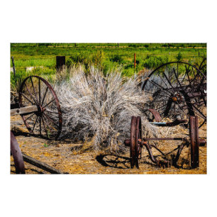 Foto Rodas Históricas do Rancho