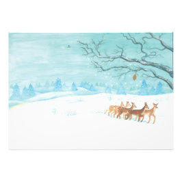 Foto Roe deer Winter