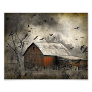 Foto Roguish Ravens Cria Crownado