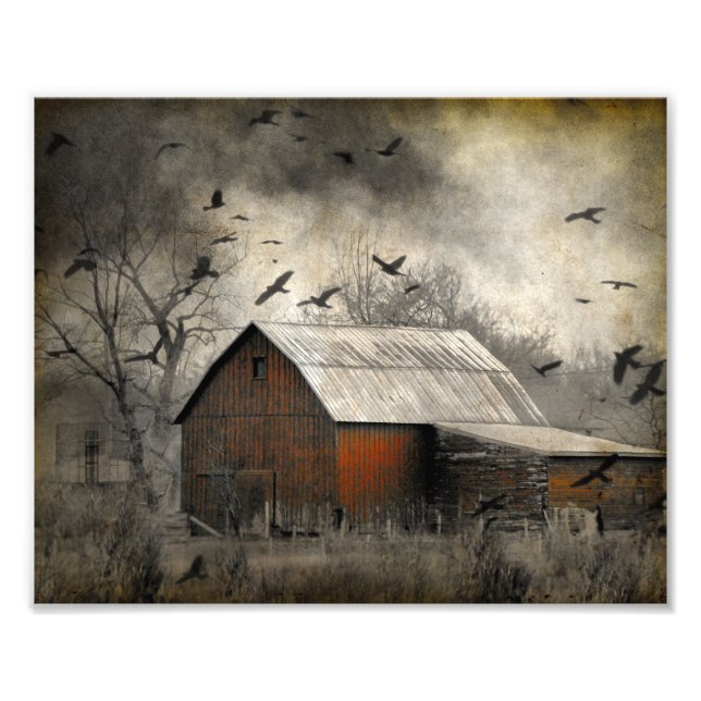 Foto Roguish Ravens Cria Crownado (Frente)