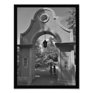 Foto Rolagem Amigável
