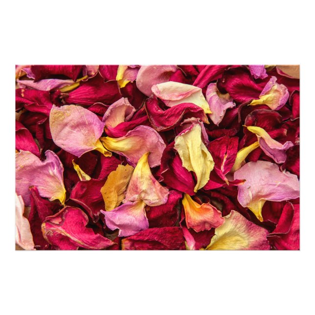 Foto Rosa (Frente)