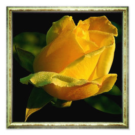 Foto Rosa Amarelo Grande