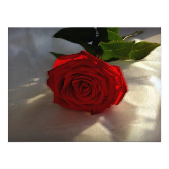 Foto rosa ao anoitecer (Frente)