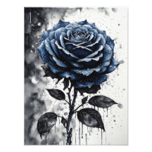 Rosa - Azul
