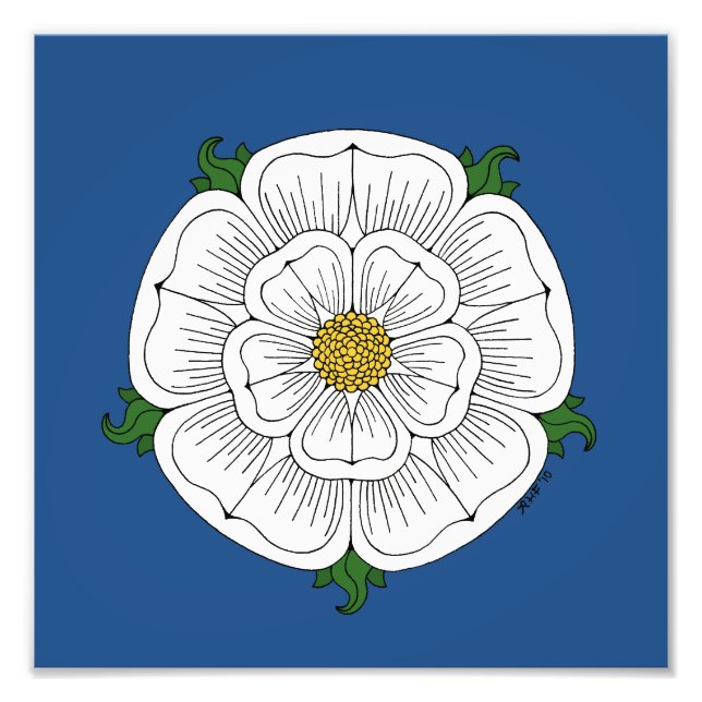 Foto Rosa Branca de York (Frente)