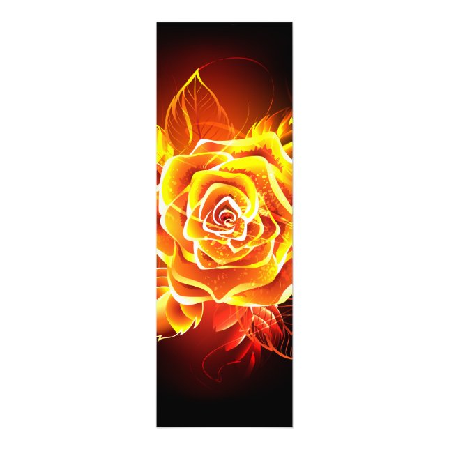 Foto Rosa de Fogo em Flor (Frente)