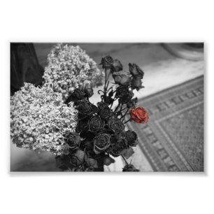 Foto Rosa gótico esperançoso