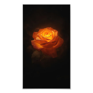Foto Rosa Laranja Luminosa em Veludo Preto – Flo Elegan