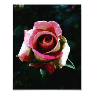 Foto Rosa Pintada a Óleo