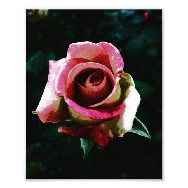 Foto Rosa Pintada a Óleo (Frente)