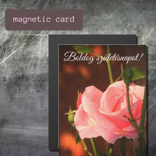 Foto rosa rosa rosa rosa - aniversário húngaro (Criador carregado)