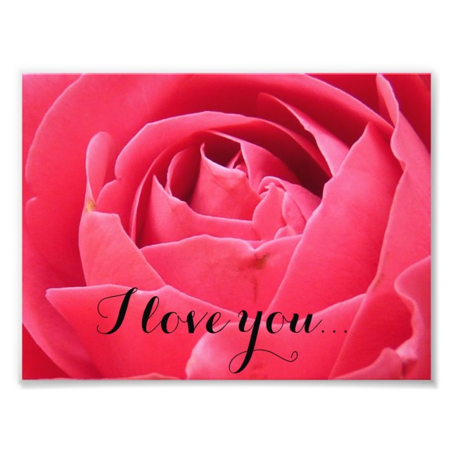 Foto rosa rosa rosa rosa rosa (Frente)