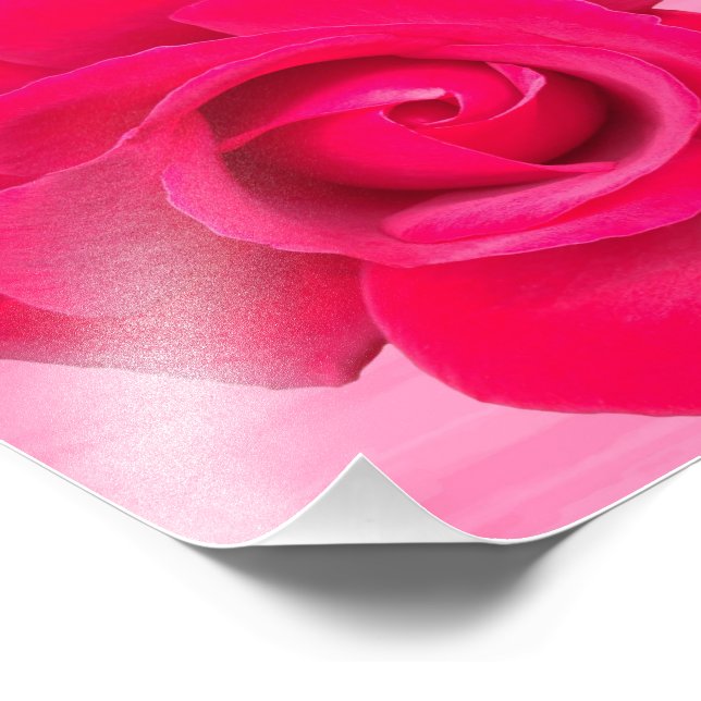 Foto Rosa Rosa Vermelha Romântica (Borda)