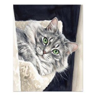 Foto Rosa um Gato com Olhos Verdes Marcantes