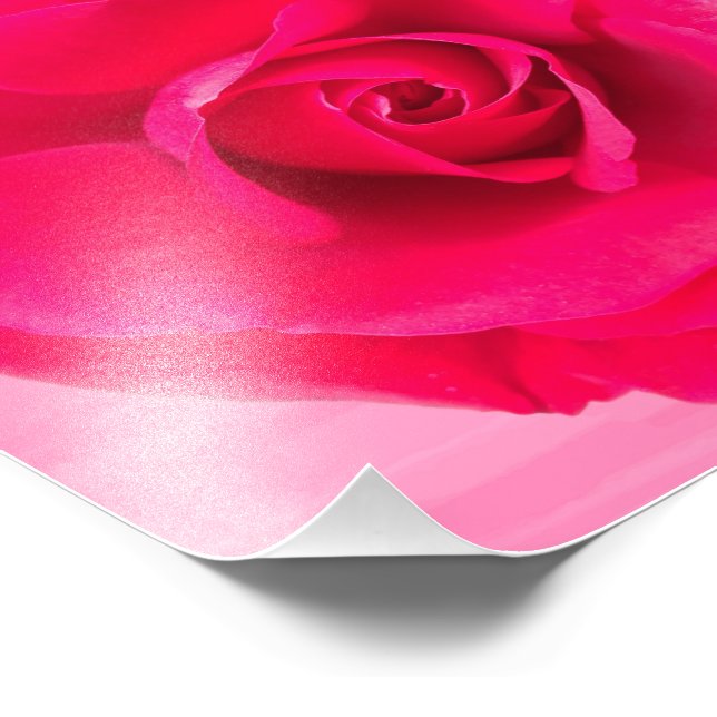 Foto Rosa Vermelha Romântica v2 (Borda)