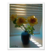 Rosas à luz do sol