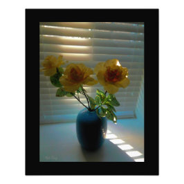 Foto Rosas à luz do sol -