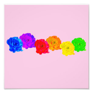 Foto Rosas arco-íris