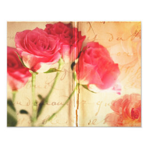 Foto Rosas de Colagem de Fundo Rosa Rosa Rosa Rosa Rosa