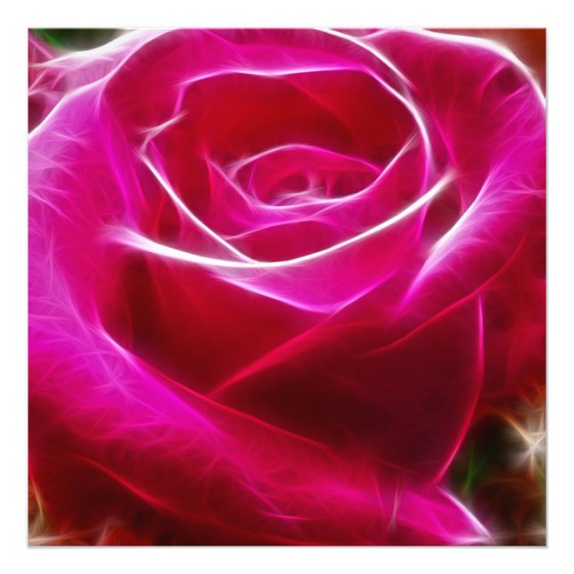 Foto Rosas São Artísticos Rosa Neon e Únicos (Frente)