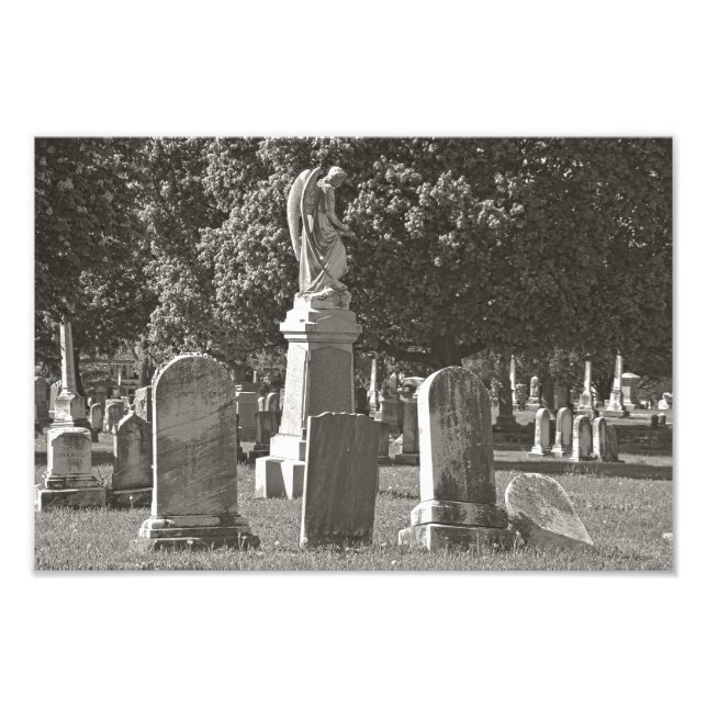 Foto Rosehill III (Frente)