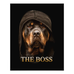 Foto Rottweile