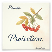 Rowan — Proteção | Coleção Serenity Script