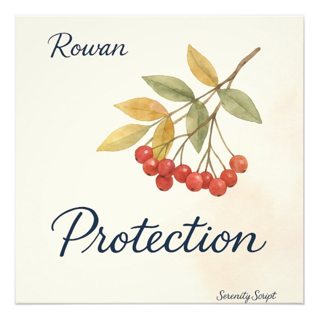 Foto Rowan — Protection | Serenity Script Collection (Frente)