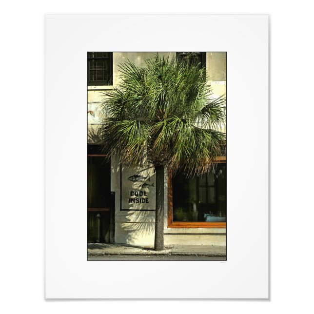Foto Rua Charleston com Palmetto Tree (Frente)