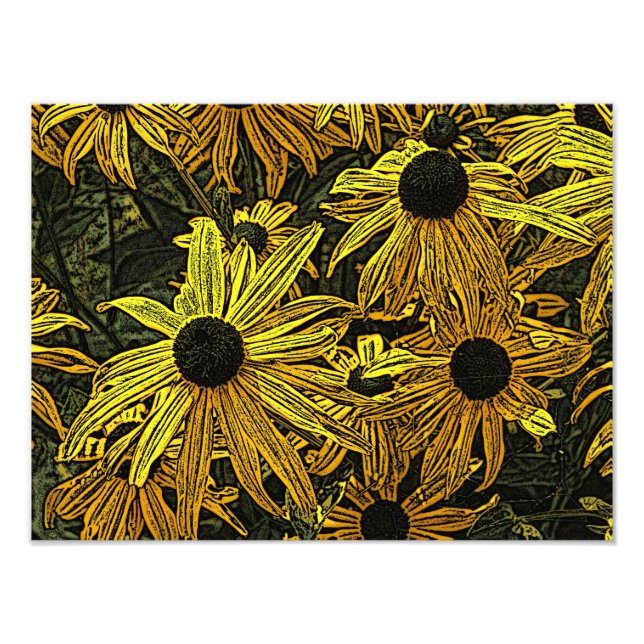 FOTO RUDBECKIAS (Frente)