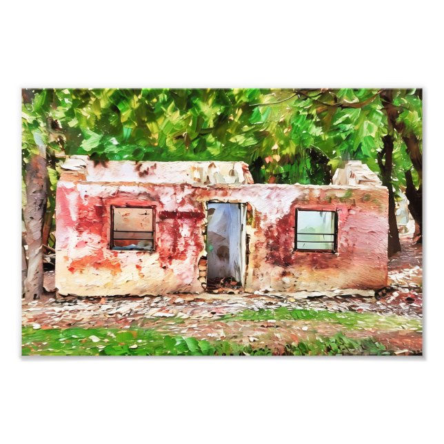 Foto Rustic Abandonou House Em Meio À Floresta Verde (Frente)