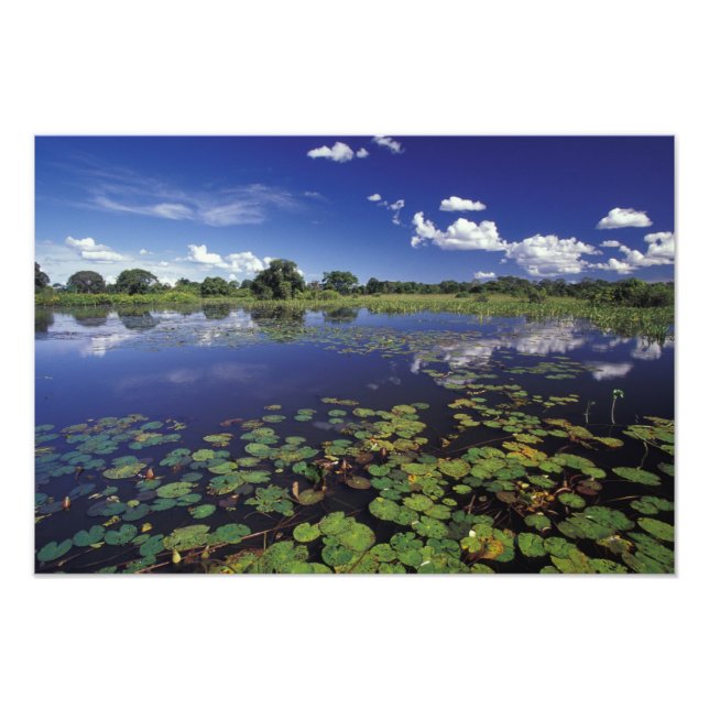 Foto S.A., Brasil, Vias Navegáveis em Pantanal (Frente)