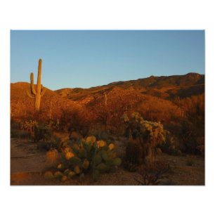Foto Saguaro Sunset I Arizona Desert Landscape