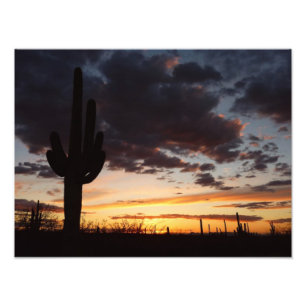 Foto Saguaro Sunset III Arizona Desert Landscape
