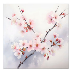 Foto Sakura Blooming Branoming