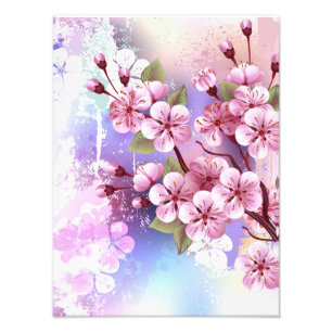 Foto Sakura rosa no fundo da pintura
