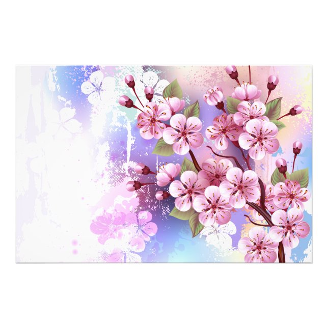Foto Sakura rosa no fundo da pintura (Frente)
