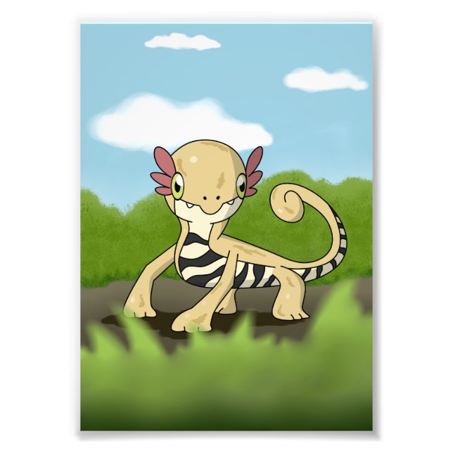 Foto Salamandra (Frente)