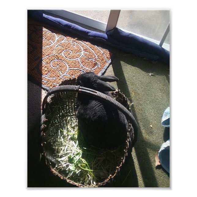 FOTO SAMMY I (Frente)