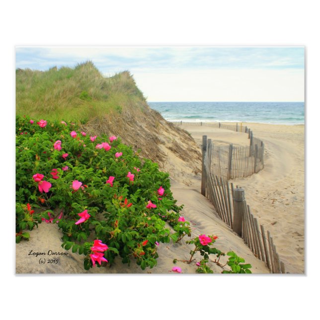 Foto Sand Dunes and Beach Rosas ~ Block Island, RI (Frente)