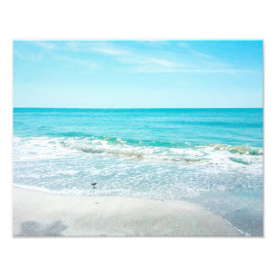 Foto Sandpiper Tropical Florida Beach Sand Ocean Waves