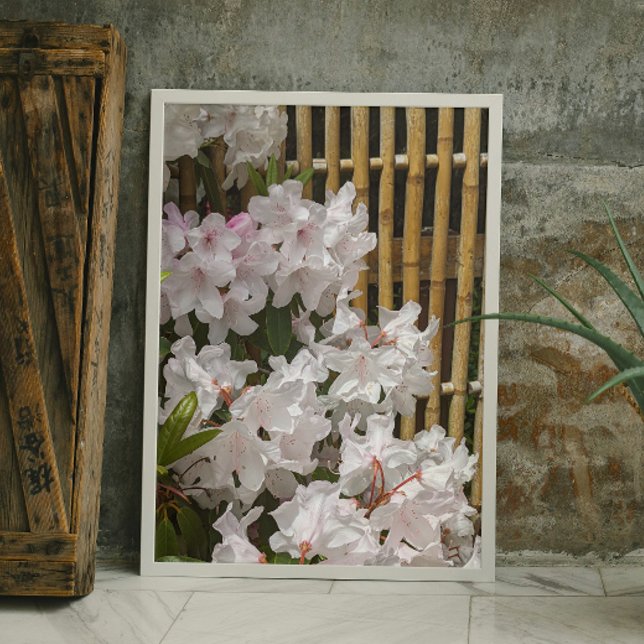 Foto Sangue rododendron branco e cerca de bambu floral (In Situ (Framed))